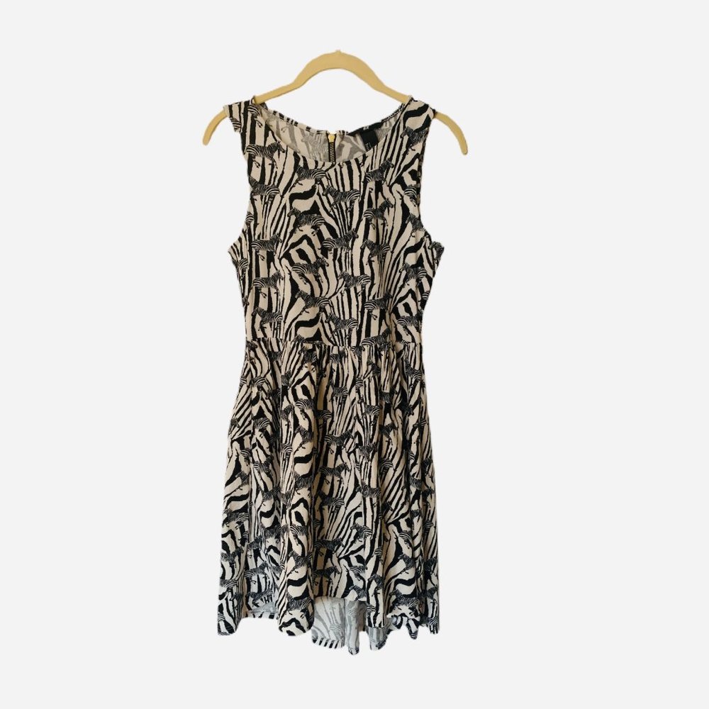 H&M Zebra Print Dress